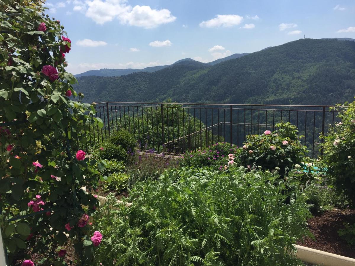 Saint-Paterne-Racan Bellevue B&B 외부 사진